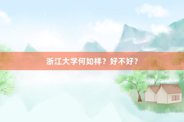浙江大学何如样？好不好？
